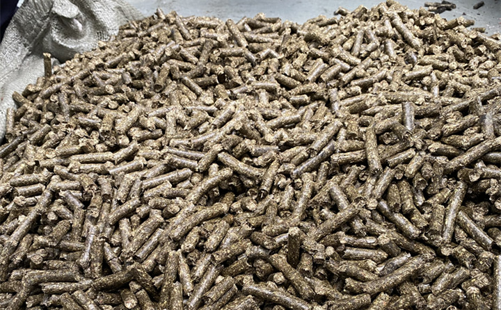 锯末颗粒机生物质颗粒