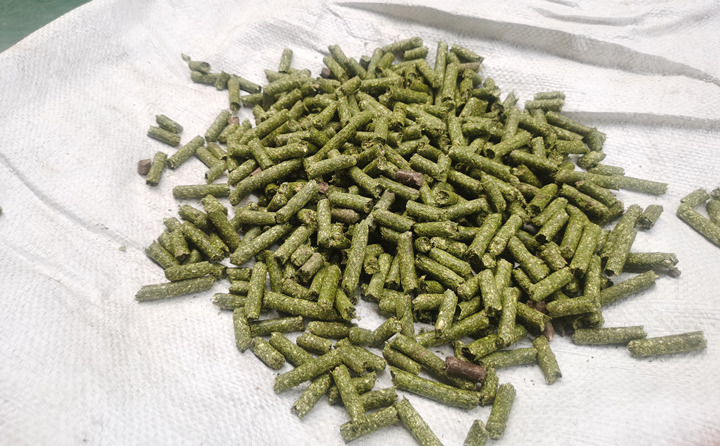 锯末颗粒机加工的颗粒燃料
