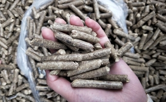 构成木屑颗粒机行业发展能源的新模式